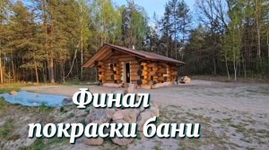 ЖИЗНЬ на хуторе, какая она есть.ФИНАЛ покраски бани! Такого результата не ожидали. Копченый кальмар.