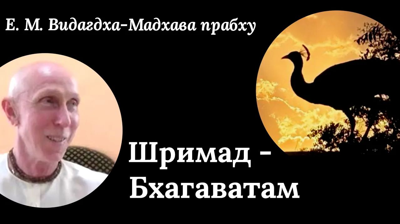 ШБ / Е.М. Видагдха-Мадхава прабху