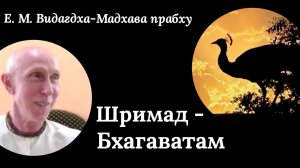 ШБ / Е.М. Видагдха-Мадхава прабху