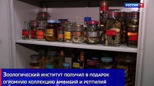 Зоологический институт получил в подарок огромную коллекцию амфибий и рептилий
