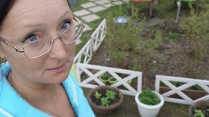 Видео привет с 6 соток 15 мая 2026 года.