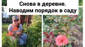 Лето 2025 год. Дом в деревне/  Вырубаю лес в саду