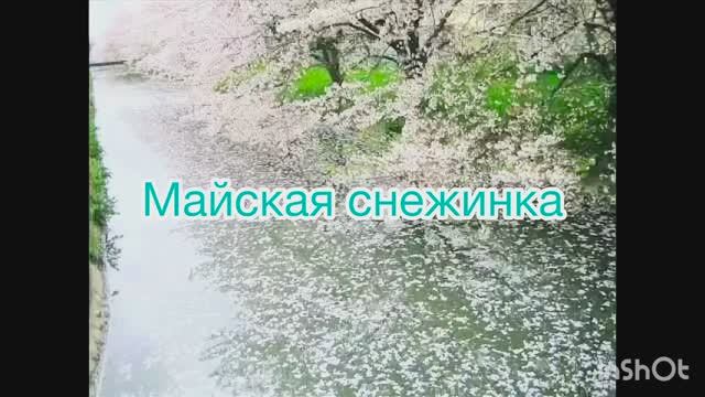 Майская снежинка (музыка ханга)