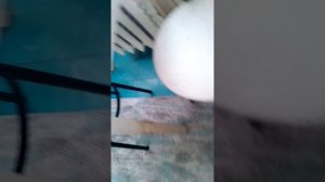VID_20260515_142028.3gp