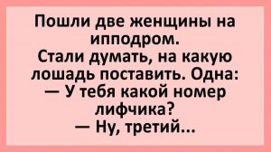 У тебя какой номер лифчика? Ну, третий... | Анекдоты смешные | Юмор