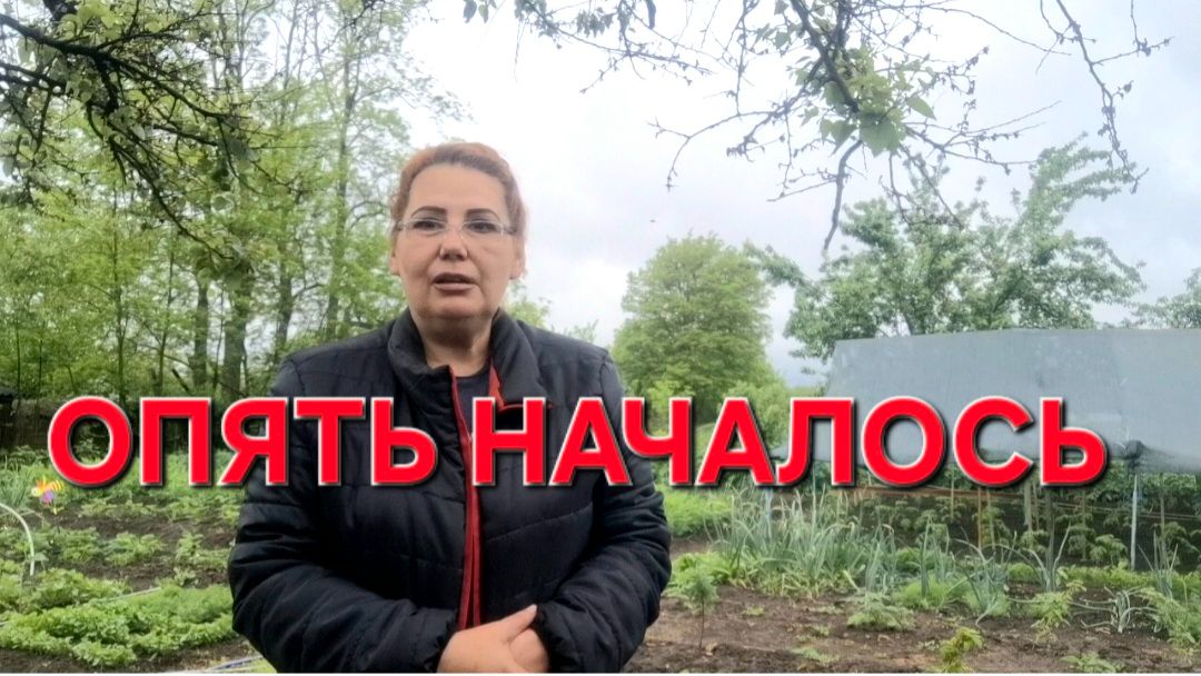 1236 Ну вот и началось опять Тяжело и морально и физически. Просто Жизнь в станице.