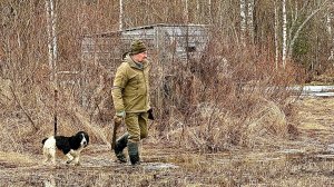 Весенние хлопоты: Проверяю сети и доделываю скрадок