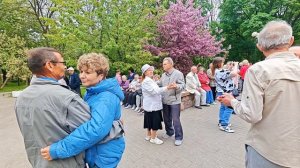 10.05.26г... «Старый Клён»...