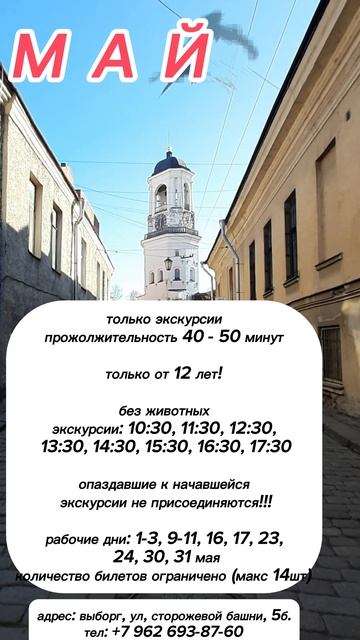 Выборг как на ладони! Часовая башня