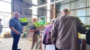 Сыктывкар. Пригородный. Цены на рассаду 15.05.2026