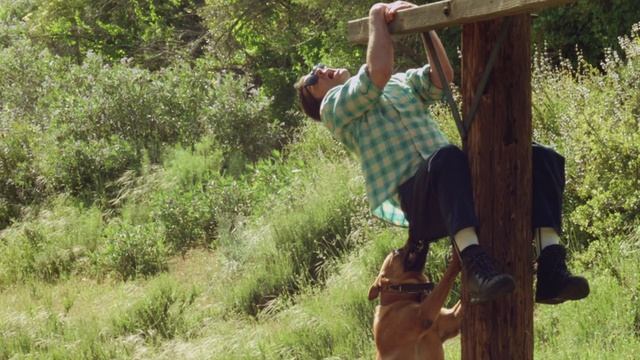 Чудаки Jackass 3D: Злая собака