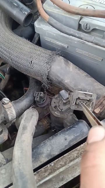 Opel Omega B, мы в Макс