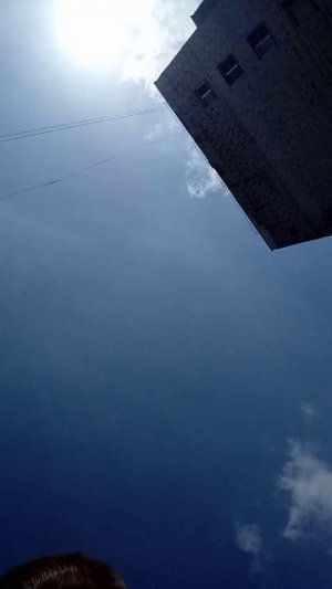 помогаю муравьям