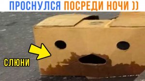 Слюни натекли))) Приколы