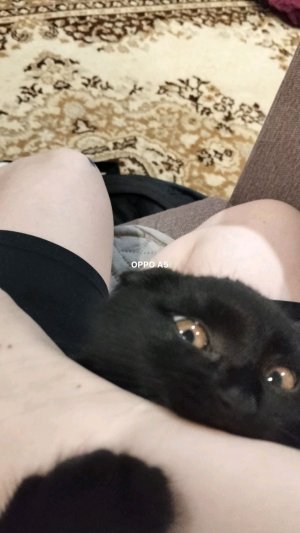 ,