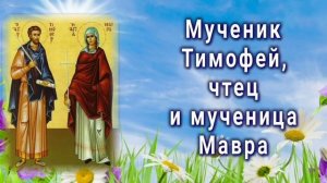 Мученик Тимофей чтец и мученица Мавра