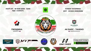 12:00_Гвоздика — Ак Барс - Танеко