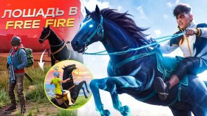 НОВЫЙ ТРАНСПОРТ ИЛИ ЧТО ЭТО!? ЛОШАДИ В FREE FIRE - ПЕРВЫЕ БАГИ