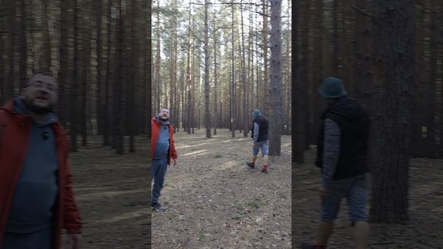 сцена House на фестивале India forest camping