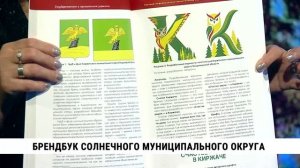 Брендбук Солнечного муниципального округа / Елена Хмельченко