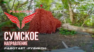 Сумское направление. Работает Центр «Рубикон». Уничтожены транспорт, ПВД и системы связи ВСУ