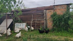Что такое не везёт, и как с этим бороться. Семейные дела.
