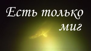 Ищем судака ночью #Подводная охота