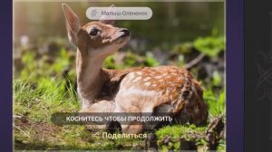 Собираем пазлы. Дикая природа. Малыш - Оленёнок