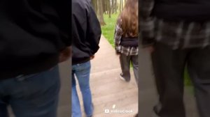 прогулка по парку