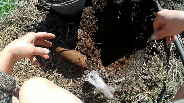 Вышло солнышко и жизнь стала  прекрасна.