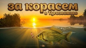 В поисках карася. Рыбалка в отпуске