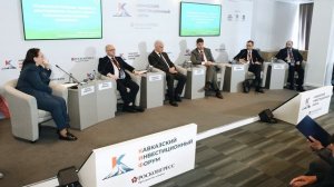 Нацсистема пространственных данных как ключ. Инструмент повышения капитализации территорий СКФО