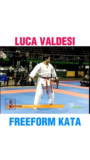 Лука Вальдези. Ката свободной формы. Luka Valdesi free foarm Kata.