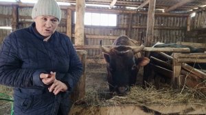 Добрыня заболел . Жизнь в деревне