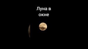 Луна в окне