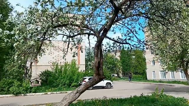 #красота мая цветение