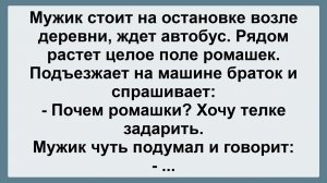 Мужик ждет автобус... Подборка Пикантных, Остреньких, Жизненных Анекдотов! Юмор! Смех! Позитив!