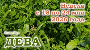 ДЕВА | ТАРО прогноз на неделю с 18 по 24 мая 2026 года
