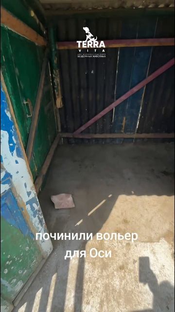 починили вольер для Оси