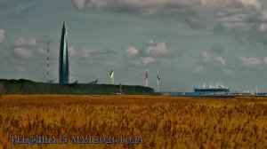 РекЛика 15 мая  2026 года