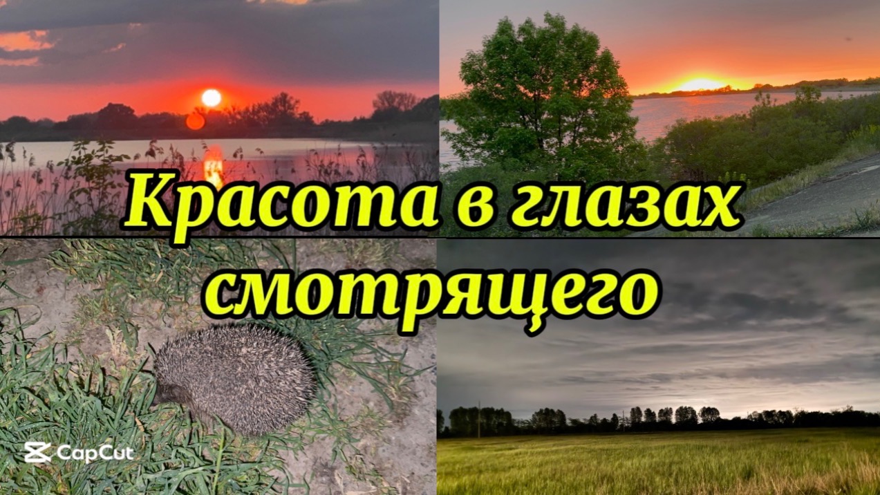 ❤️Весь день на грядках/ Ставим и выполняем задачи/ Маленький, да удаленький, рекомендую
