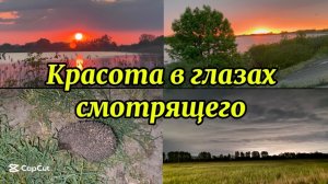 ❤️Весь день на грядках/ Ставим и выполняем задачи/ Маленький, да удаленький, рекомендую