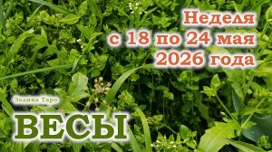ВЕСЫ | ТАРО прогноз на неделю с 18 по 24 мая 2026 года