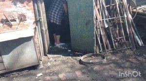 Ура дождик, дела продвигаются /как живут в русской деревне..