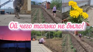МУЖУ НАДО ТАБЛИЧКИ НА ОГОРОДЕ🌽У НАС СКОРО ГОДОВЩИНА💞СЮРПРИЗ ОТ ПРОШЛОГО ГОДА🌻НЕБО🦩