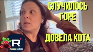 Big Big Family in the USA _Случилось горе _Довела кота _Обзор _Биг Биг Фэмэли _Funny 4 _