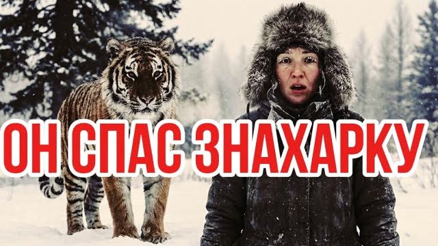 Записка охотоведа, которую тайга отпустила, потому что за нее попросил тигр | таежные истории