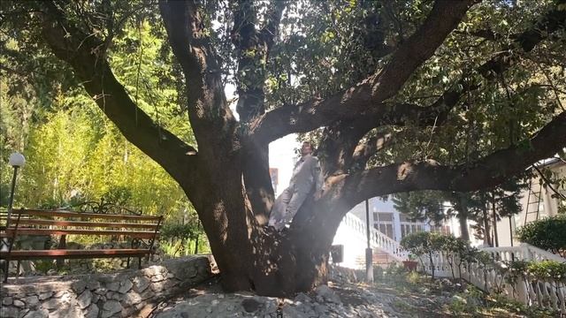 Отель Горное Солнце Алупка