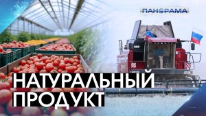 Новая аграрная карта ДНР: качество и вкус на первом месте! 15.05.2026 «Панорама»