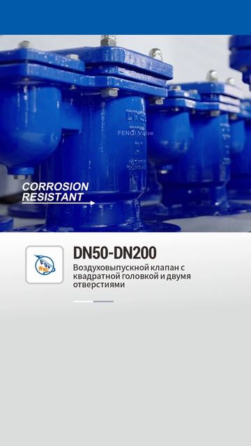 DN50-DN200 Воздуховыпускной клапан с квадратной головкой и двумя отверстиями-FENQI